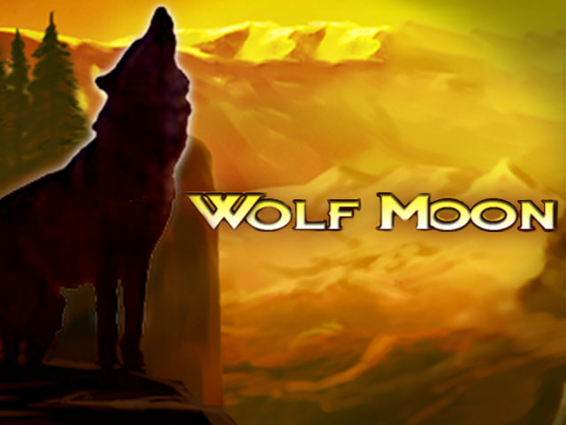 amatic | Wolf Moon