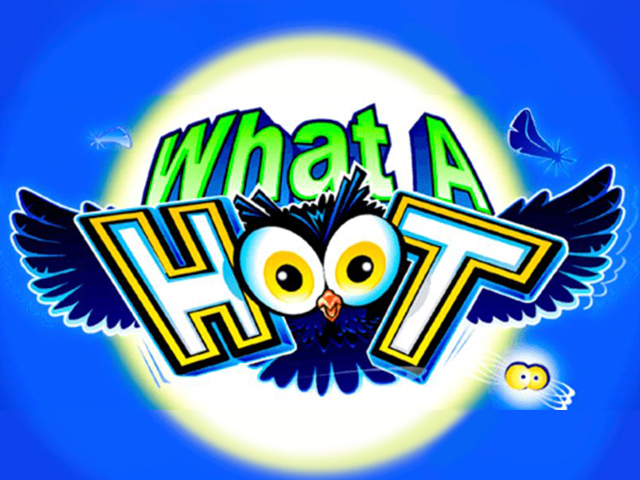 microgaming | What a Hoot