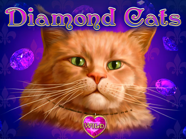 amatic | Diamond Cats